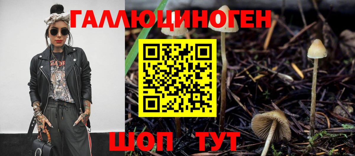 Галлюциногенные грибы Magic Shrooms  Вход с VPN  Новодвинск  Галлюциногенные грибы Cubensis 
