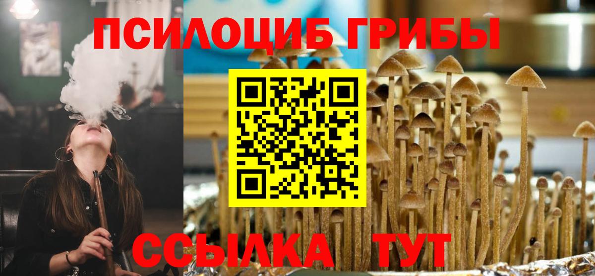 Галлюциногенные грибы ЛСД Новодвинск
